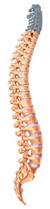 Cervical Radiculopathy