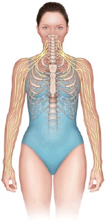 Cervical Radiculopathy