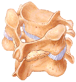 Posterior Fusion