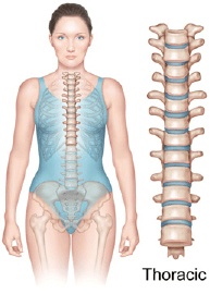 Thoracic