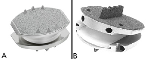 total artificial disk replacements